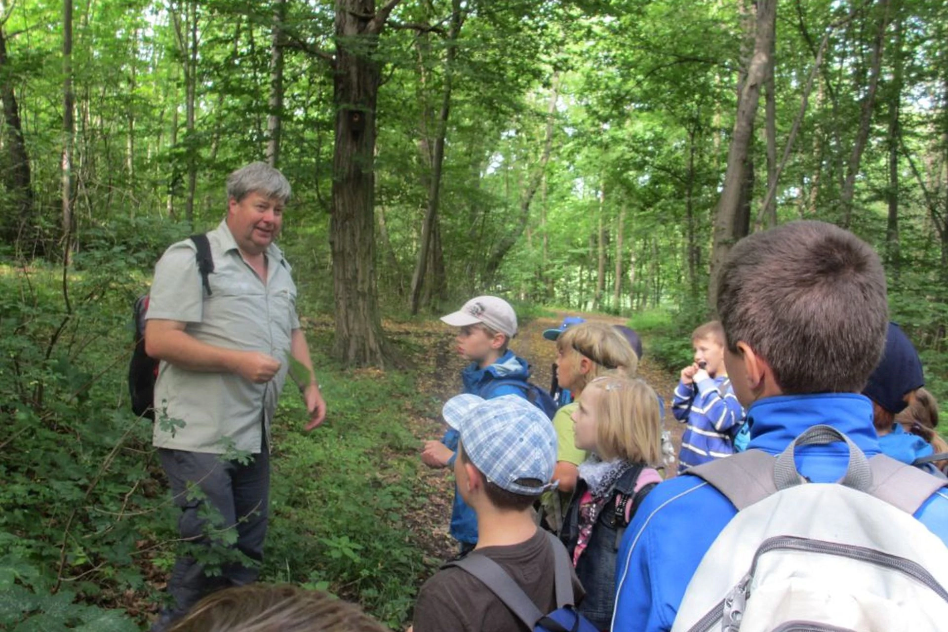 Bildbeschreibung / description: