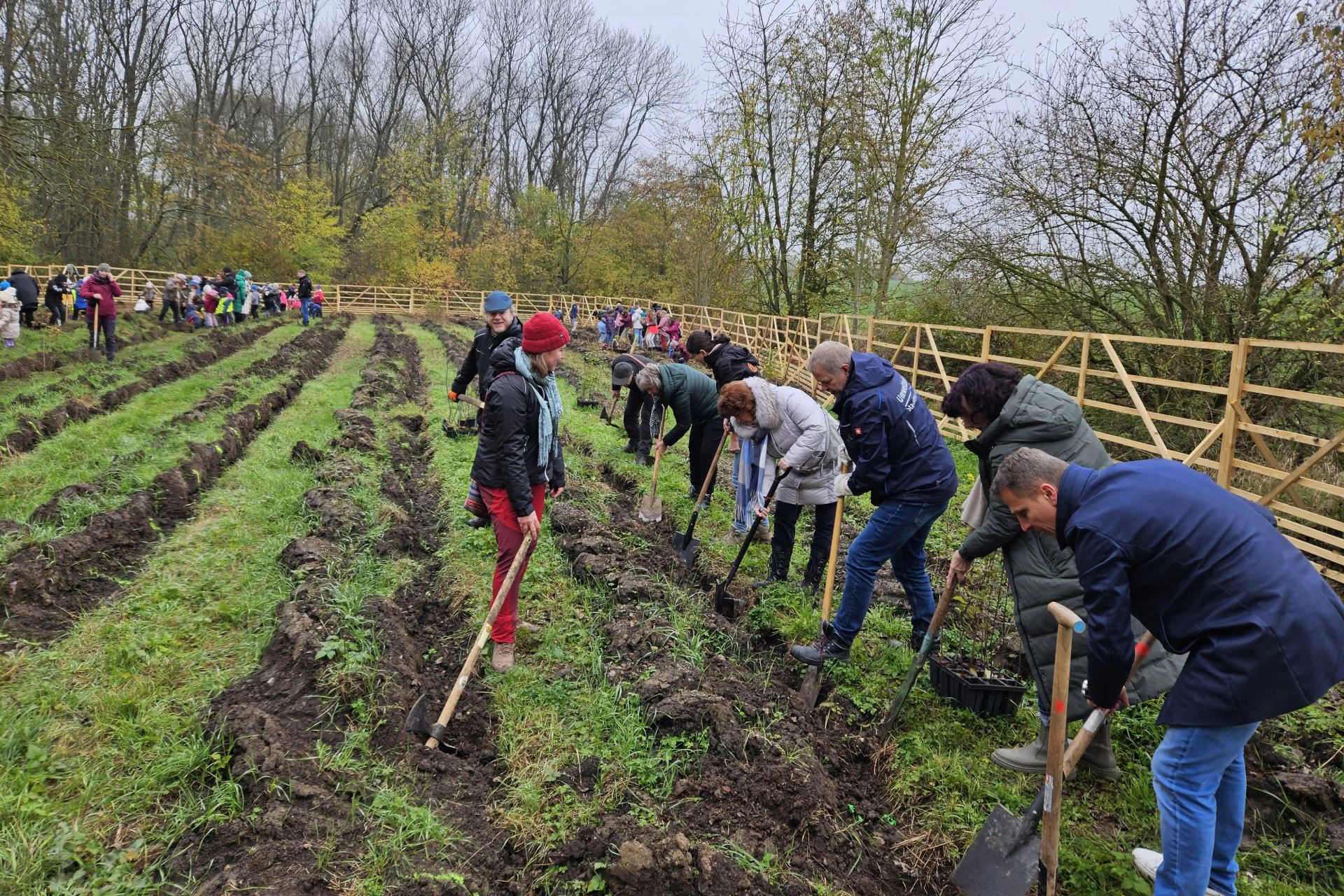 Bildbeschreibung / description: