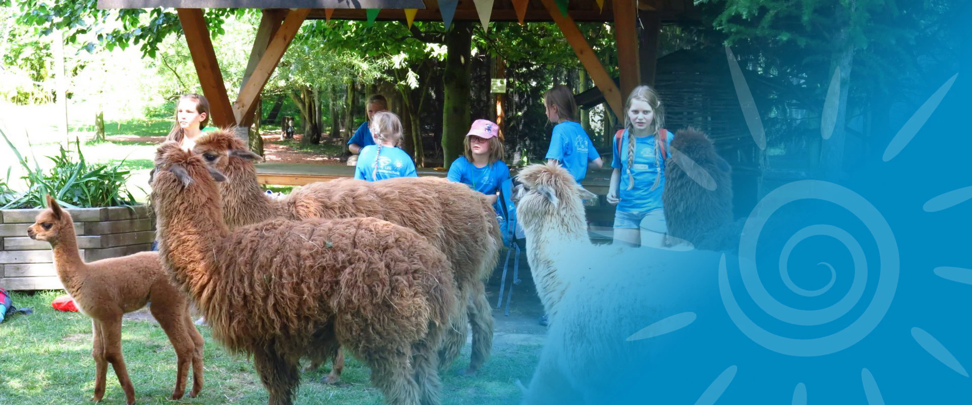 Bildbeschreibung / description: